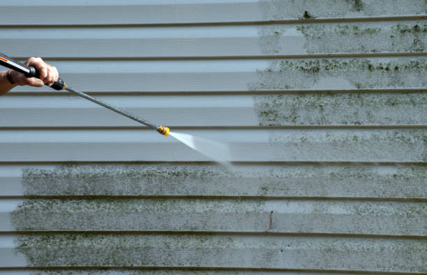 Best Residential House Exterior Washing  in Progress Village, FL
